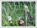 Razor Wire